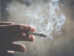 Awal Mula Manusia Merokok