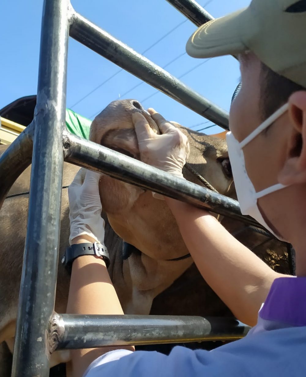 foto : Sidak sapi di pasar wage Kabuh (13/5/2022).