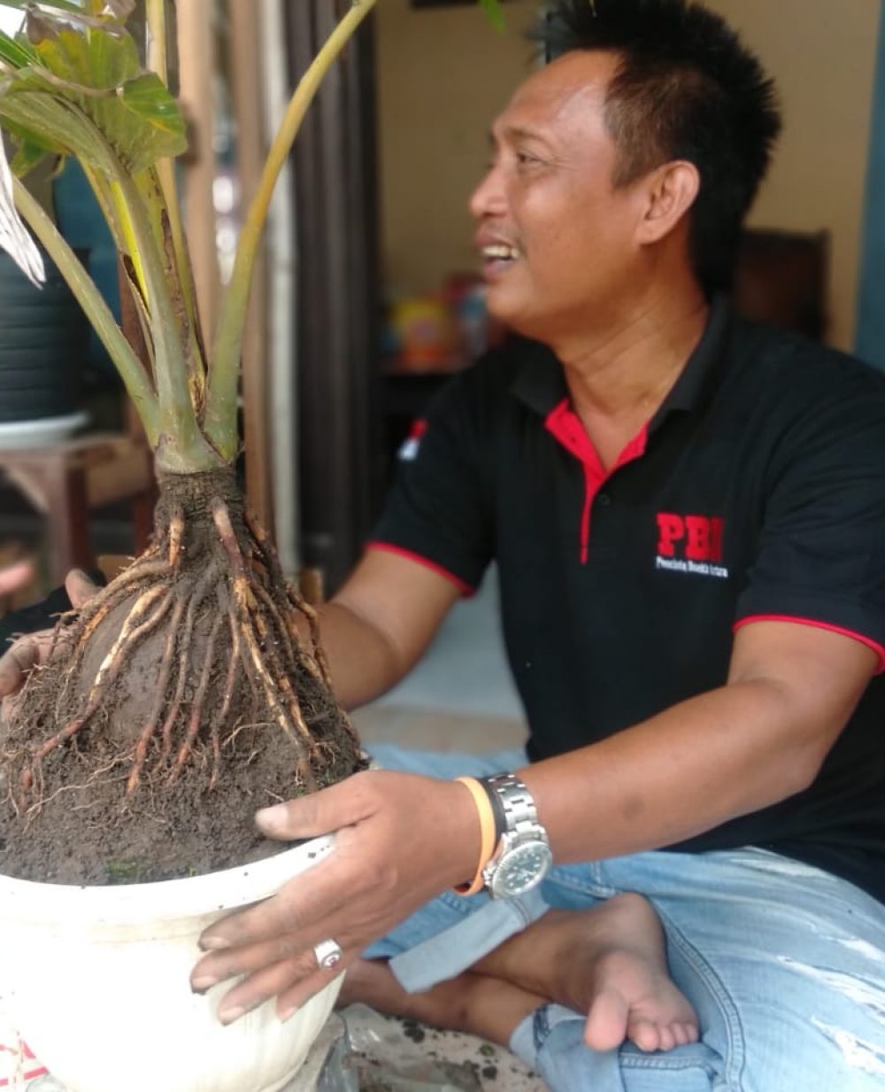 Pengerajin Bonsai Kelapa Ukir Mengalami Penurunan Omzet