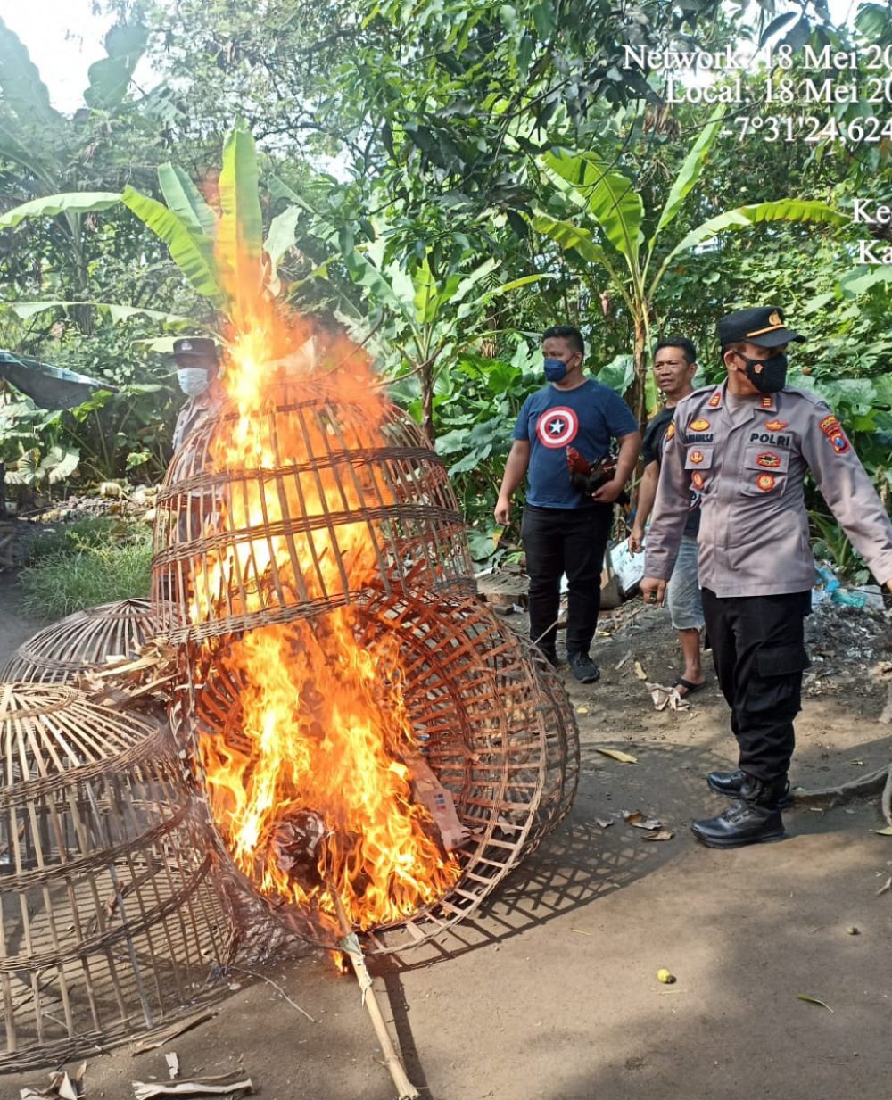 Grebek Arena Sabung Ayam, Polsek Jombang Amankan Dua Ekor Ayam Jantan Beserta Sangkarnya