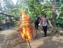 Grebek Arena Sabung Ayam, Polsek Jombang Amankan Dua Ekor Ayam Jantan Beserta Sangkarnya