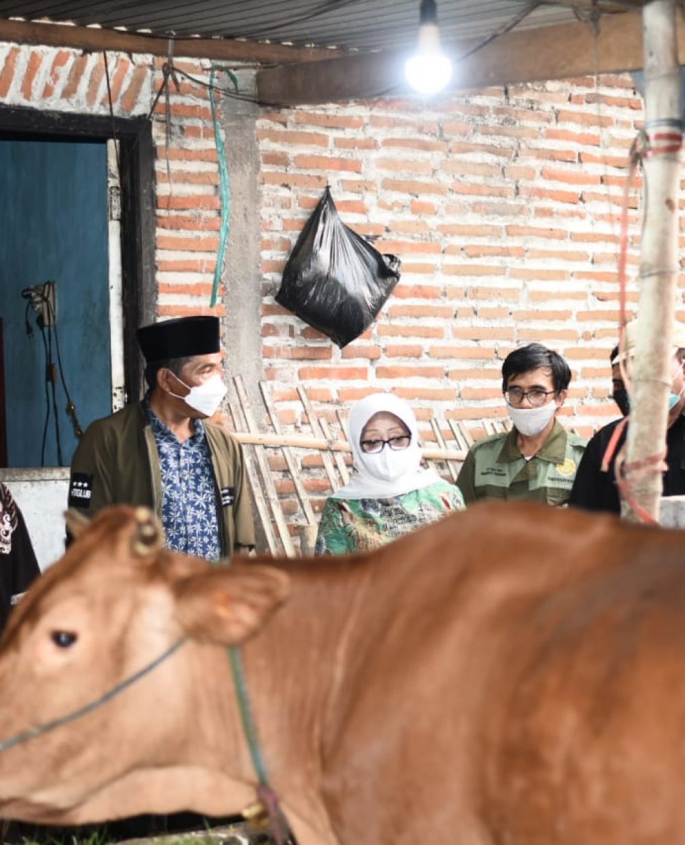 Gejala Wabah PMK Sapi di Jombang Meluas ke Puluhan Desa