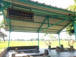 Batu Andesit Peninggalan Sejarah Digunakan Warga Sebagai Batu Nisan