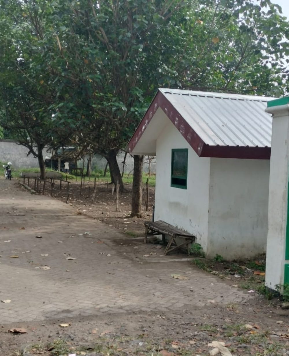 Kasus PMK di Jombang Capai Ribuan, Dinas Peternakan : Jangan Panik