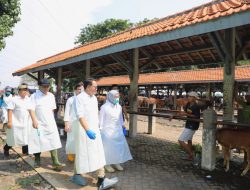 Tinjau Pasar Hewan Kota Probolinggo, Pj. Gubernur Adhy Pastikan Hewan Ternak Layak Dijual dan Ajak Semua Pihak Antisipasi Wabah PMK